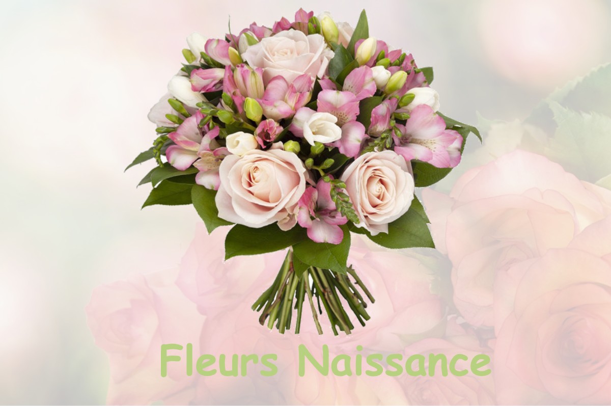 fleurs naissance SAINT-BRIEUC-DE-MAURON